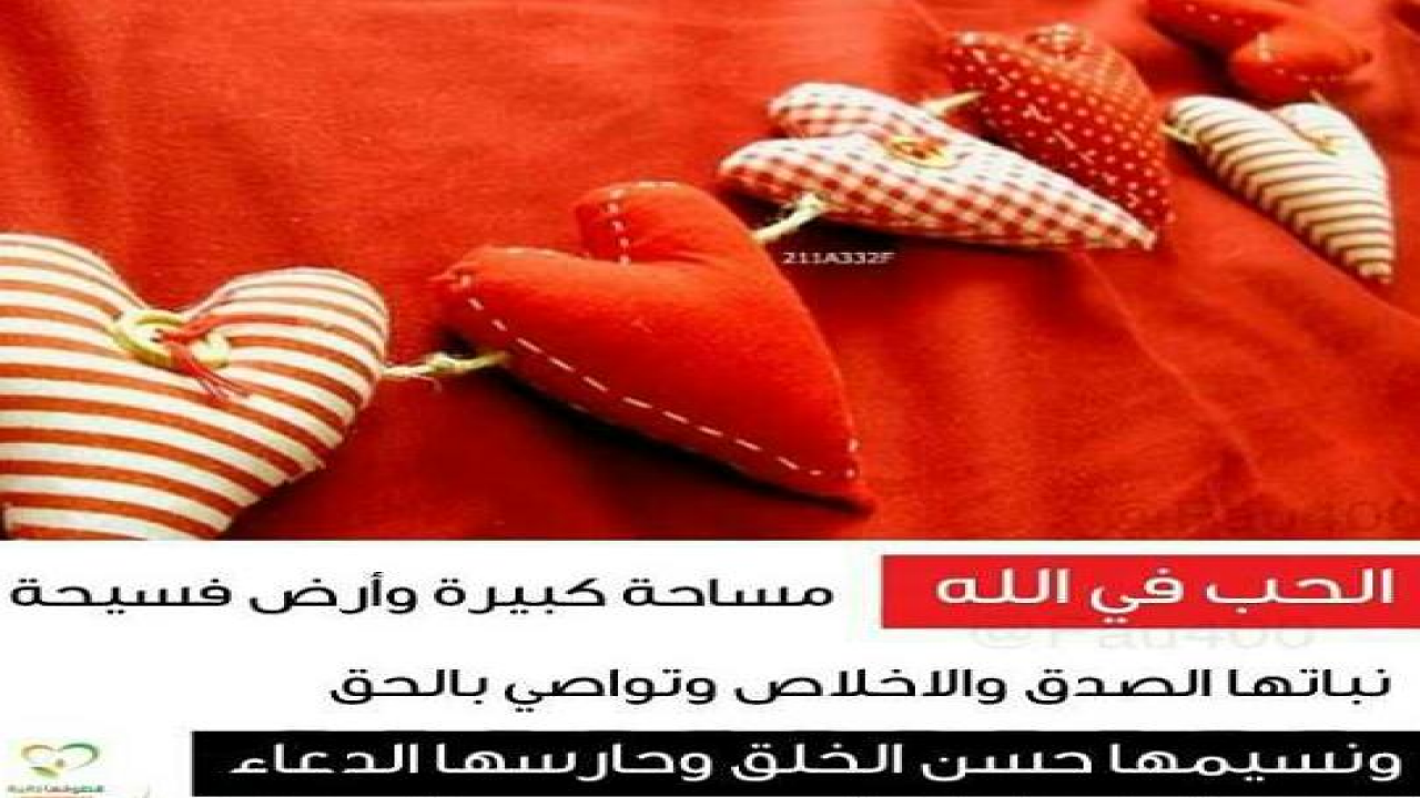 المحبه في الله !