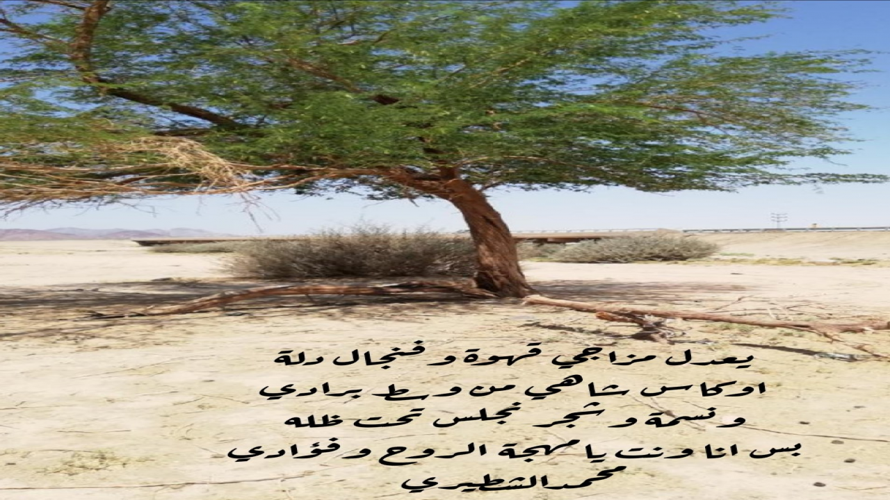 من ابيات محمدالشطيري