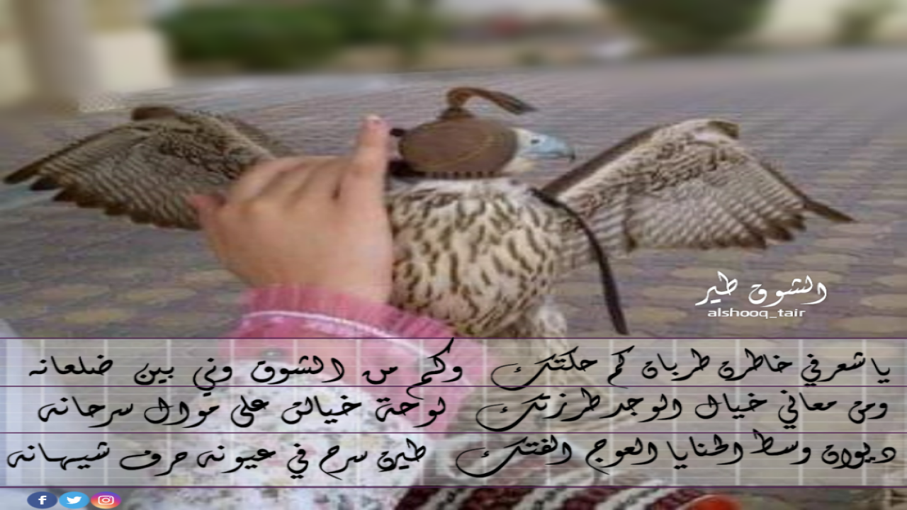 ياشعر في خاطرن طربان كم حكتكوكم من الشوق وني بين ضلعانهومن معاني خيال الوجد طرزتكلوحة خيالً على موال سرحانهديوان وسط الحنايا العوج الفتكطيرن سرح في عيونه حرف شيهانه