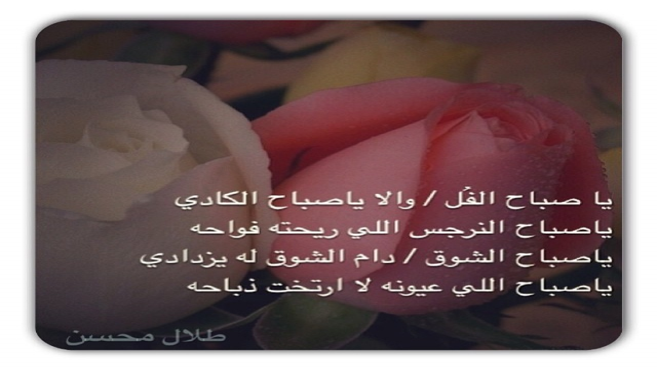 مشاعري ..