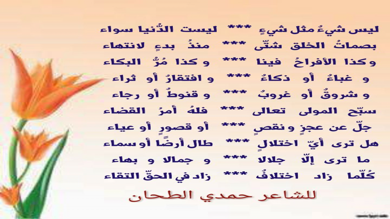 نصائح