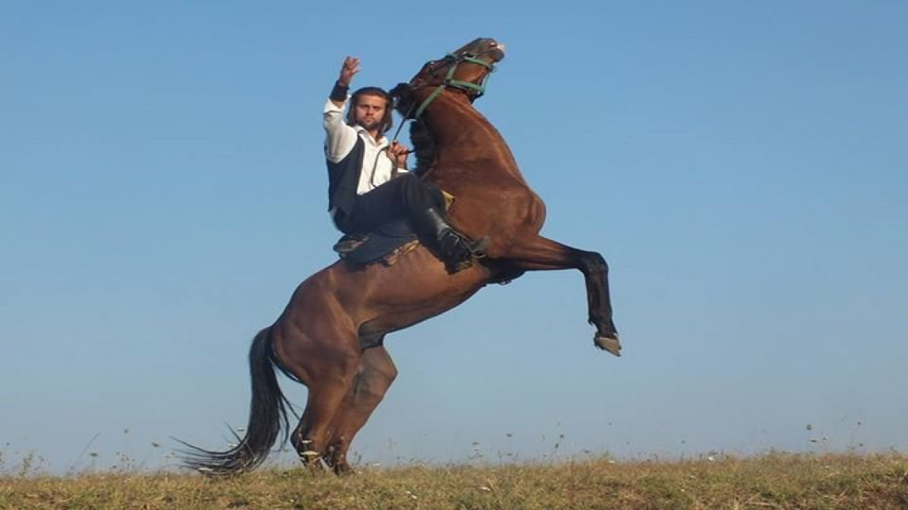 الشاعر يرفع الخيل ويقفز ويتطرق به