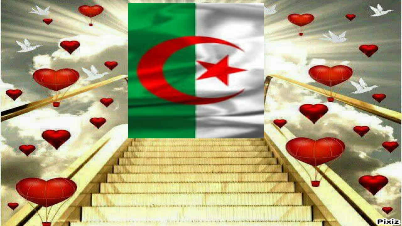 قيمة الوطن