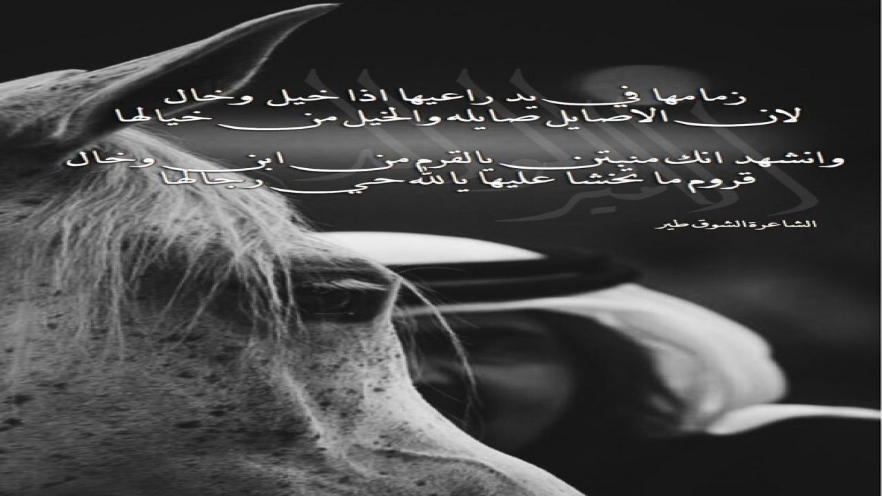‏زمامها في يد راعيها اذا خيّل وخال=لان الاصايل صايله والخيل من خيالهاوانشهد انك منبتن يالقرم من ابن وخال=قروم ما تخشا عليها يالله حي رجالها