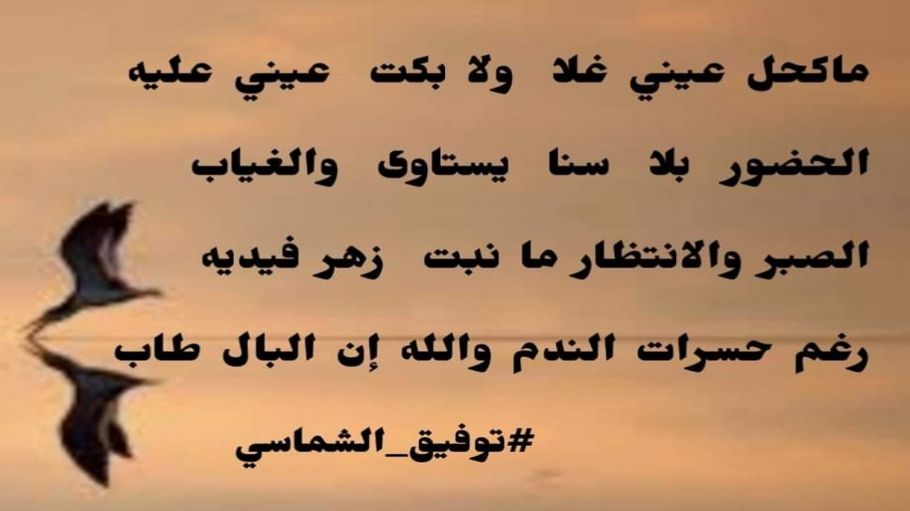 توفيق الشماسي