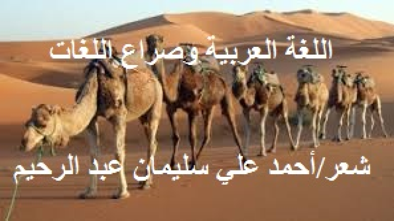 اللغة العربية وصراع اللغات! (كثر التندر والاستهزاء والسخرية من اللغة العربية. وفي الوقت ذاته ازدادت اللغة الإنجليزية احتراماً وتبجيلاً. وأعلم علم يقين أن اللغات كلها من عند الله تعالى. واحترام العربية من احترام الإنجليزية والفرنسية وغيرهما. وقد أثبتّ ذلك من واقع نصوص القرآن في مقام آخر. ولكن غيرتي على العربية جاءت انعكاساً لما نسمعه ونحسه ونراه اليوم من هجمة شرسة عاتية فجة على ثوابت الإسلام ومنها اللغة العربية لغة القرآن. ولقد بدأ بعض المسلمين يردد في بلاهة مقولات المستشرقين في النيل من اللغة العربية. فرحت أطالب قومي باحترام اللغة العربية. وأخذت على عاتقي أن أبين جمال العربية وأهميتها ومكانتها بين لغات العالم. ورحتُ أزيل غبش التصورات وردئ الأفكار عنها. فقرعتُ الحجة بالحجة وواجهتُ الدليل بدليل أقوى منه. وأقمتُ البراهين المتعددة على أن لغة الضاد من أرجى وأحلى وأقوى لغات الدنيا. بل هي من أصلب لغات الناس اليوم في القدرة على البقاء إلى الأبد!)