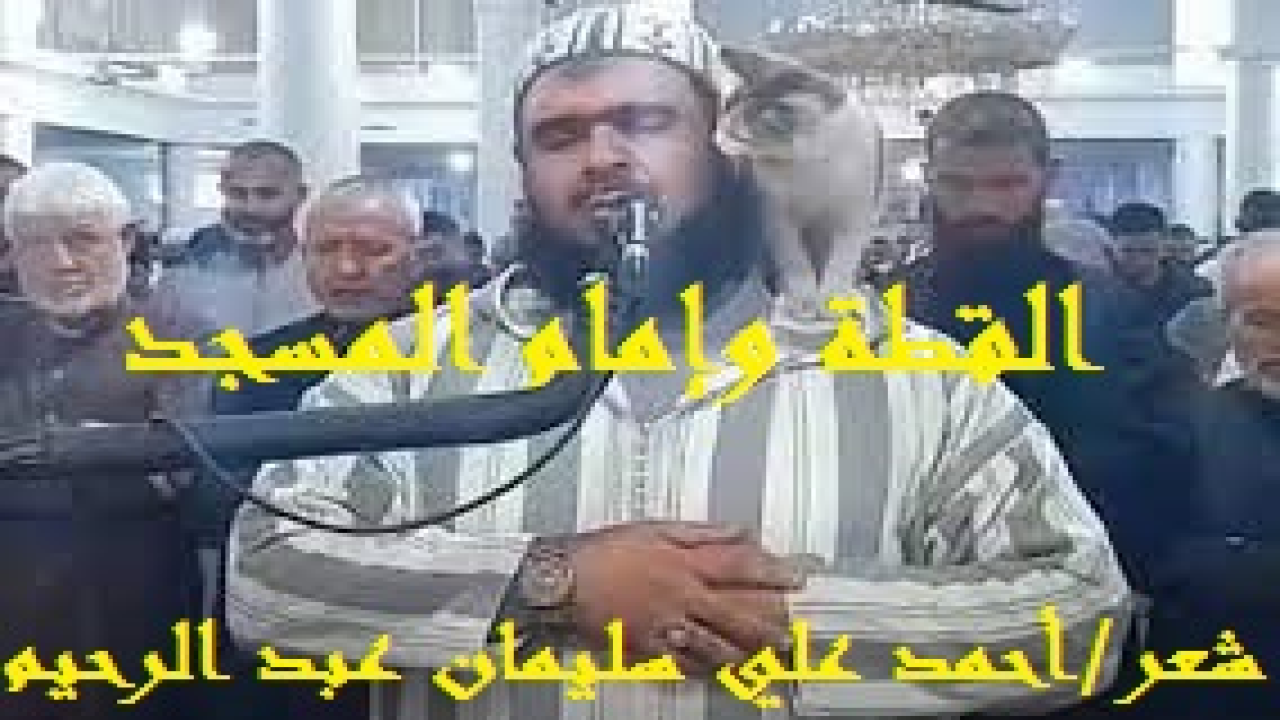 القطة وإمام المسجد - وليد مهساس! (لا يزال القرآن يمنحنا كنوزه على كر الدهور وتعاقب العصور! ومازلنا نرى المفاجآت تلو المفاجآت! لقد انتشر مقطع فيديو للإمام الجزائري المحترم وليد مهساس ، والقطة التي اعتلت كتفه أثناء صلاة التراويح كالنار في الهشيم ، مُحققا بالفعل أكثر من مليار وستمائة مشاهدة خلال 48 ساعة بوسائل التواصل الاجتماعي المعروفة ، كما حظي هذا الفيديو بإعجاب الكثيرين ، إذ تهاطلت التعليقات المشيدة من كل ربوع العالم وحتى من مختلف الديانات ، كما تناقلت الفيديو أيضا وسائل إعلام غربية وأمريكية وأوروبية وآسيوية ، حيث أعادت نشره هيئة البث البريطانية BBC ، وشبكة CNN الأميركية وغيرهما. وعلى إثر ذلك كرمت وزارة الشؤون الدينية الجزائرية ، الإمام وليد مهساس ، الذي أظهر الرحمة في تعامله مع قطةٍ صعدت على كتفه أثناء الصلاة. وقالت جمعية العلماء المسلمين الجزائريين: "إن مشهد القطة اجتاح القنوات وألهب المواقع عالمياً". وتُعتبر القِطَط في الإسلام أو (السنّور) حيوانات طاهرة ، ووُردت أحاديث من السُّنة النبويَّة التي تدل على طهارتها وجواز اقتنائها وتربيّتها ، كما تُعتبر القطط حيوانات مُحببةٍ إلى النبي مح