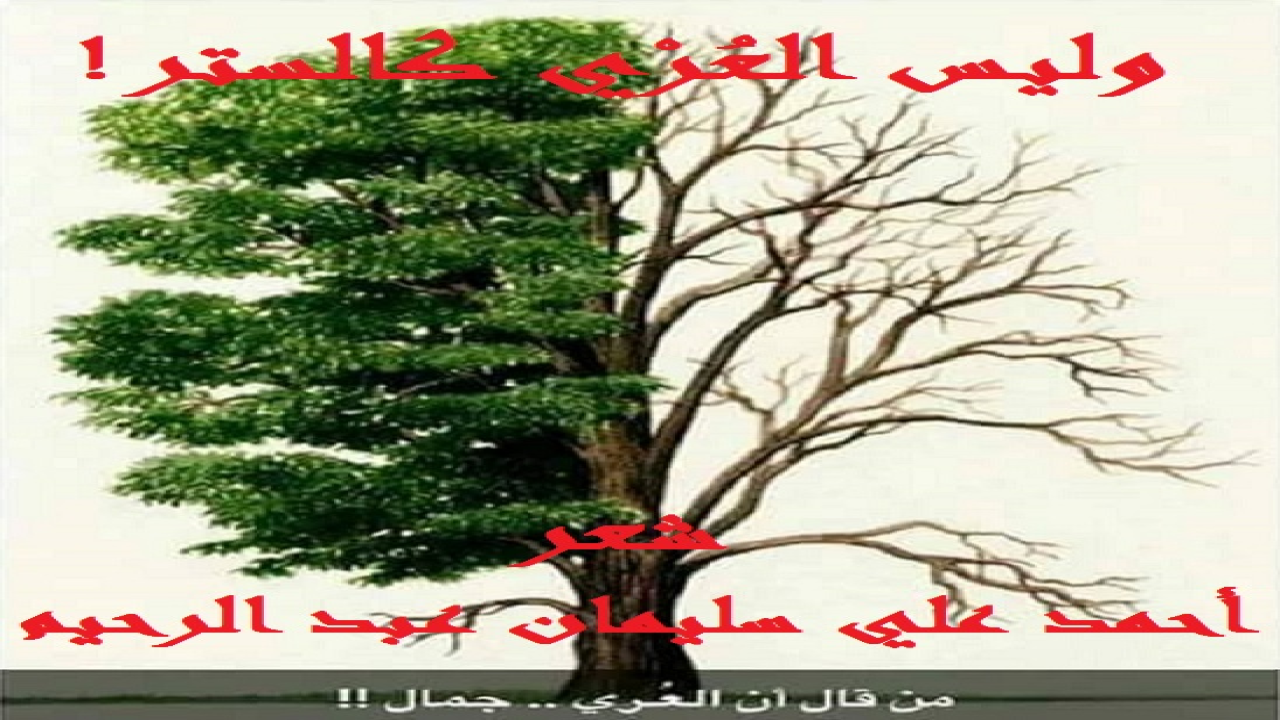 (لقد جلب العُرْي البَهيمي والتبرج السافر الملعون على هذه الأمة الويلاتِ والمحن! ووالله ما استويا عُرْي عَجماوي وسِتر إنساني! وكل العِرسان الذين يأتي بهم العُري والتبرجُ تكون مدة زواج أحدهم شهراً واحداً ، تُسمّيهِ الجاهلية بشهر العسل! والذي لا يُصدق هذا الكلامَ ، فليسأل المحاكم التي تعُج أدراجُها بالطلاق تِلو الطلاق ، والخلع تِلو الخلع! إلا إذا تداركتْ كلَّ عَروسين - أو أحدهما على أقل تقدير - رحمة الله رب العالمين! وكل العِرسان الذين جاء بهم الستر والحِشمة ، لا تنتهي مدة الزواج لا في الدنيا ولا في الآخرة! إلا إذا انحرفَ كل عروسين - أو أحدهما - ومال للخيبة والندامة ، ويمم وجهَه ناحية الجاهلية!)