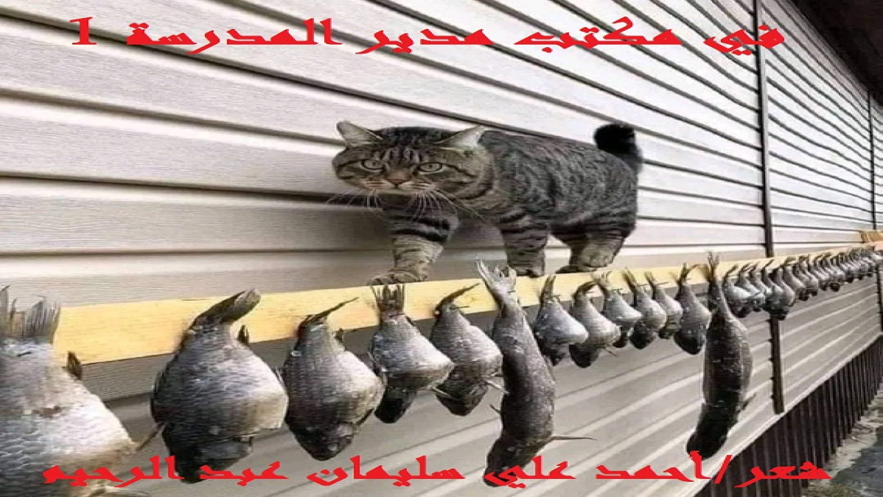 (الأصلُ أن يكون المديرُ في أن منشأةٍ أو مؤسسةٍ عادلاً مُنصفاً ، بوصفه أكبر رأس فيها! وإذا كان مديراً في مدرسةٍ ، فينبغي أن يكون أكثر المُدراء عدلاً وإنصافاً ، بوصفه مديراً لمنشأةٍ أو مؤسسةٍ سيتخرجُ منها من سيقودون زمامَ الحياة فيما بعد! أما أن يكون ظالماً متجاوزاً ، أو مُنحازاً لخصم ضد الآخر ، بدون وجه حق ، فإن هذا المبدأ فغيرُ مقبول أبداً في مؤسسةٍ تعليميةٍ تربوية!)
