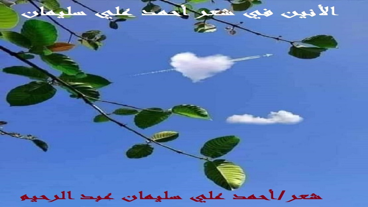 (أحياناً لا يئنُ الإنسانُ وحده! بل تئنُ المخلوقاتُ ، بل الجماداتُ من حوله! وكأن مَن حاوله وما حوله يُشاركونه أنينه! وهذه مجموعة من القصائد التي تناولتُ فيها الأنين ، وعبرتُ عنه نثراً وشعراً!)