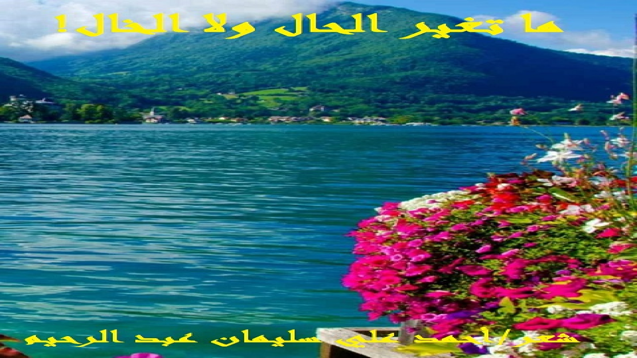 (اعتادَ هذا الخالُ الطيبُ البَذولُ الشهمُ أن يُعين ابن أخته المعيلة على صعوبات الحياة! فأنفقَ من جيبه ومقتنياته الشخصية ما الله به عليم! كما عرَّض نفسه لمخاطر شتى من أجل أن يُحقق هذه الغاية: ( إعانة ابن أخته الفقير). فجاد برأس المال النقدي والعيني عن طِيب نفس! فجاد بالفلوس والجواكت الفاخرة والأقمصة الراقية والأقلام النفيسة وقنينات العطور والأجندات وغير ذلك لرؤية ابن أخته في أبهى صولاة وأرقى حال! وشارك مشاركة إيجابية فاعلة بكل رشد وروية في حل المشكلات دون من أو ضرب أو أذى أو عُقوبة! وشرح دروس اللغة الفرنسية ، والتشجيع الدائم على التفوق وإحراز المستقبل الرائع الأمثل! ودارت الأيامُ دورتها وتخرج هذا الابن من الجامعة ، بفضل الله تعالى أولاً وآخراً ، ثم بفضل هذا الخال وتشجيعه ودعمه! ثم تعسَّرَ هذا الابن جداً في مشروع زواجه ، ووصل مع أسرته إلى طريق مسدود في القبول بزوجةٍ اختارها ورفضوها جميعاً ، وفشل في إقناعهم! فذهب إلى خاله مستعيناً به في إيجاد حل! فاصطحب الخال أخاه وأبيه! وانطلق ابن الأخت مصطحباً جده وخالاه ، وذهبوا جميعاً للأسرتين: أسرة العريس ، وأسرة العروس! وتم التوفيقُ بين الجميع ، وفت