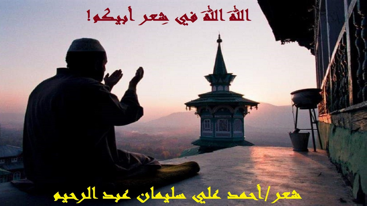 الجزء التاسع والعشرون من ديوان (السليمانيات) والمسمى بـ (اللهَ اللهَ في شِعر أبيكم!) وصية رقيقة لأبنائي بأن يهتموا بشعري ، فليقرؤوه وليدْرسوه ولينشروه في العالمين! وذلك أن الأمر بدأ بقصيدةٍ تحمل العنوان ذاته ، ثم بدا لي أن يكون ديواناً بأكمله إن شاء الله!