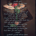 ناظر خفوقي