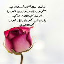 لاقلت احبك