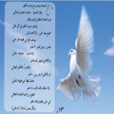 ليت الحمام