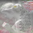 ودي بك