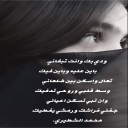 ودي بك