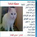 حياة