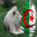 الوفاء