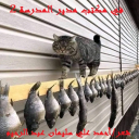 في مكتب مدير المدرسة 2