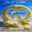 جميل يرد على هناء - معارضة للعبيدي