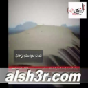 سعود سطام بن حادي_المزن