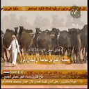 منقية ال لبدان المري