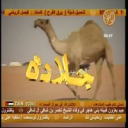 جلاده_سعود السبيعي