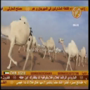 منقية حثلان السبيعي
