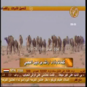 بن رمثان_راشد بن دبيل العجمي