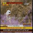 فيصل الرياحي_مطار الرياض