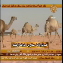 صالح ال كحله_منقية فيصل بن حثلين