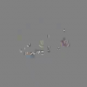 همس مسموع_نجوم المخيني