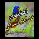 العُصْفُورُ الطَّيِّبُ للشاعر عبد العزيز الشراكي