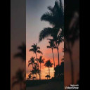 ألأنكِ أنتِ الحياة للشاعر عبد العزيز الشراكي