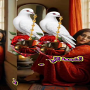 نسناس الهوى