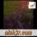عبيد اليليلي-تصويت المسرح