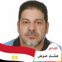 هشام عوض محمد