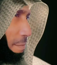 الشاعر موسى هادي