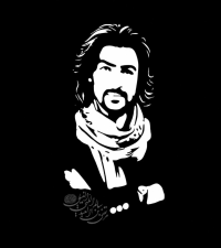 الشاعر مرتضى فيلي