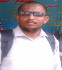 هادي سعيد