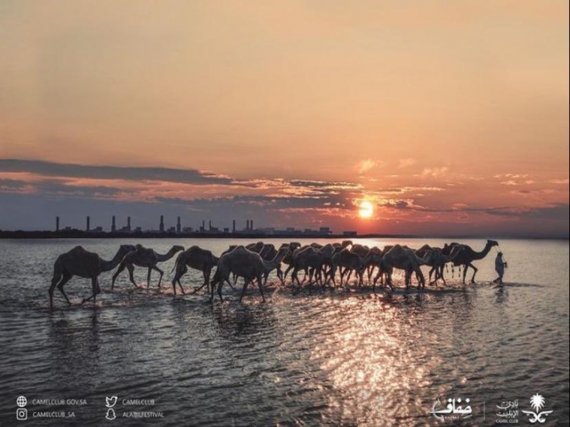سبحان خالقها