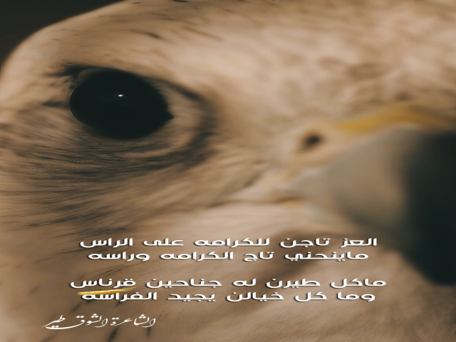 العز تاجن للكرامه