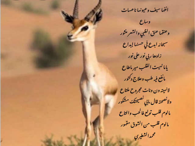 عنق الظبي