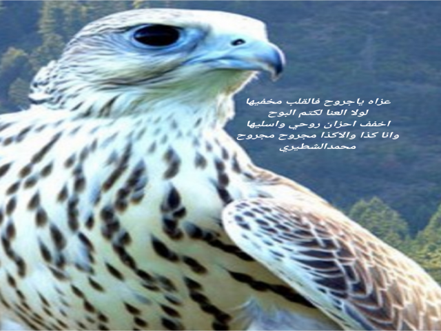 جروح مخفيها