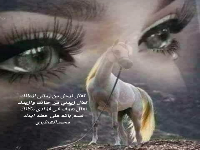 تعال نرحل
