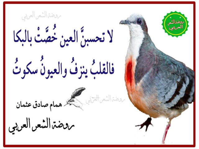 الشاعر همام صادق عثمان