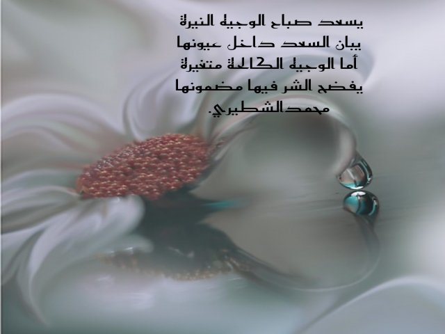 الوجيه النيرة