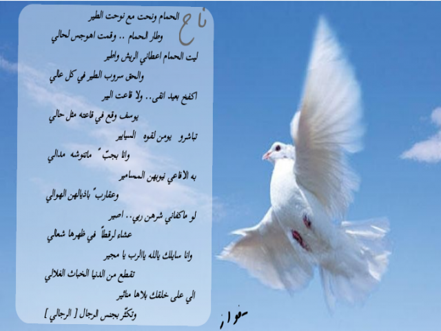 ليت الحمام