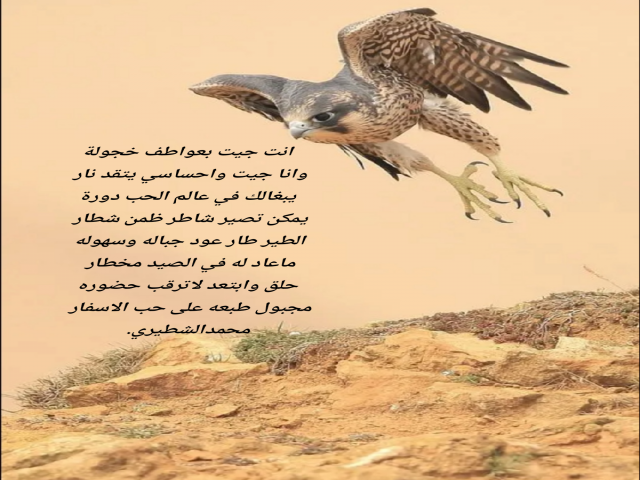 حب الاسفار